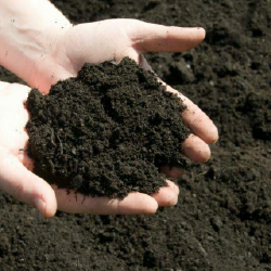 soil